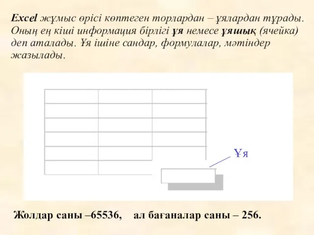 Excel жұмыс өрісі көптеген торлардан – ұялардан тұрады. Оның ең кіші информация