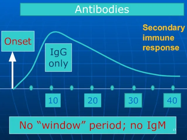 Secondary immune response Onset 10 No “window” period; no IgM 20 IgG only Antibodies 30 40