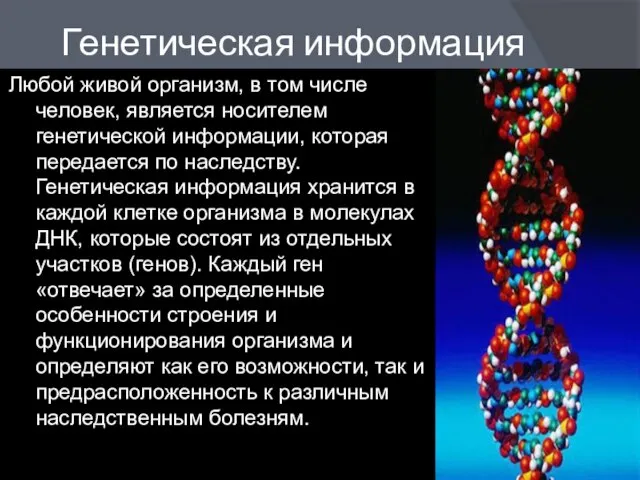 Генетическая информация Любой живой организм, в том числе человек, является носителем генетической