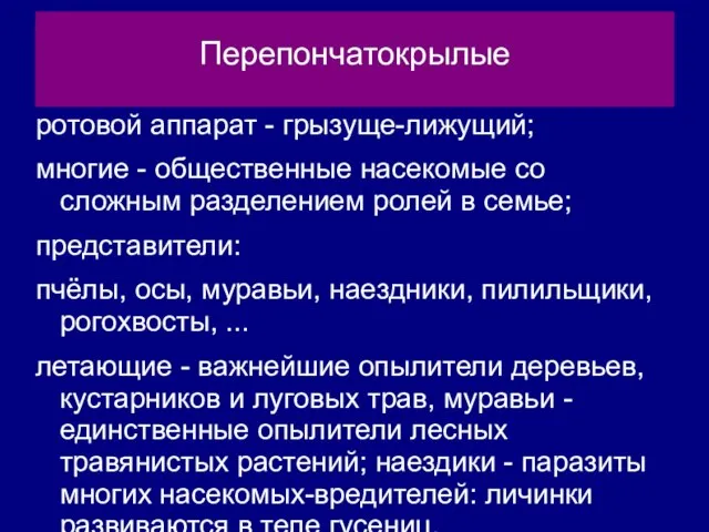 ротовой аппарат - грызуще-лижущий; многие - общественные насекомые со сложным разделением ролей