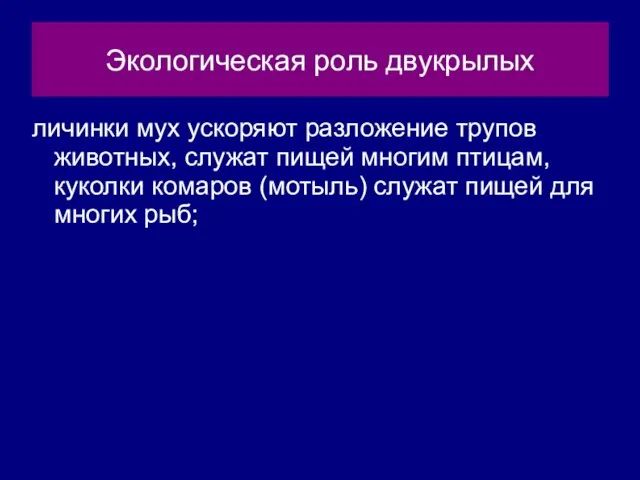 Экологическая роль двукрылых личинки мух ускоряют разложение трупов животных, служат пищей многим