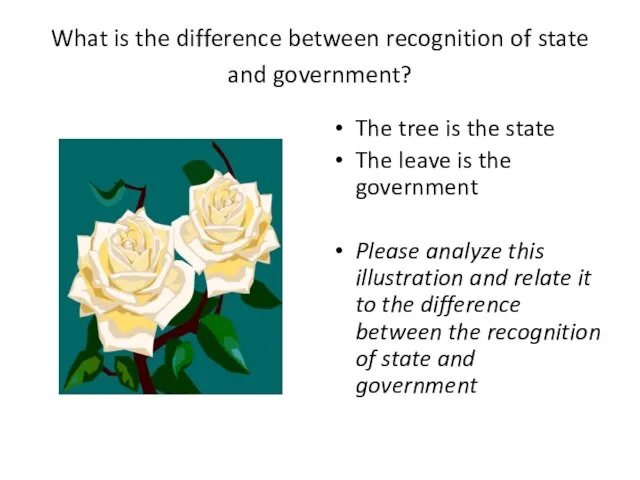 What is the difference between recognition of state and government? The tree
