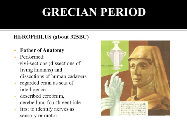 GRECIAN PERIOD HEROPHILUS (about 325BC) Father of Anatomy Performed: -vivi-sections (dissections of