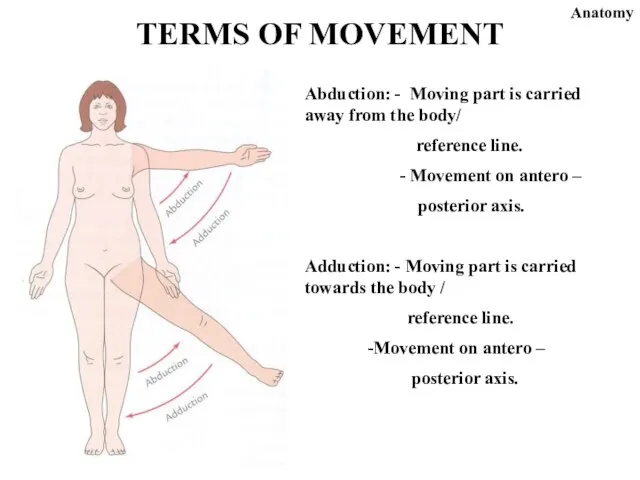 Abduction: - Moving part is carried away from the body/ reference line.