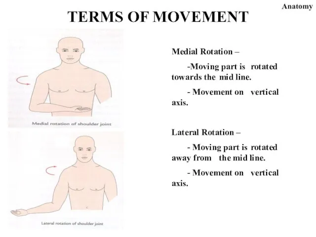Medial Rotation – -Moving part is rotated towards the mid line. -