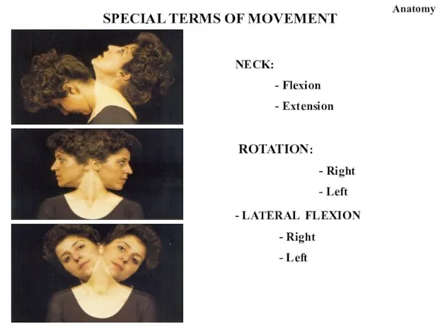 NECK: Flexion Extension ROTATION: Right Left - LATERAL FLEXION - Right -