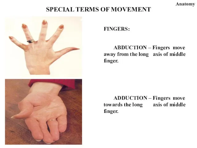 FINGERS: ABDUCTION – Fingers move away from the long axis of middle