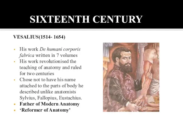 SIXTEENTH CENTURY VESALIUS(1514- 1654) His work De humani corporis fabrica written in