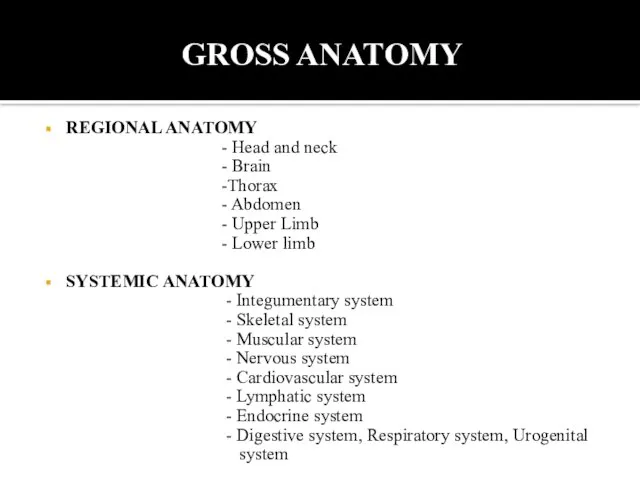 GROSS ANATOMY REGIONAL ANATOMY - Head and neck - Brain -Thorax -