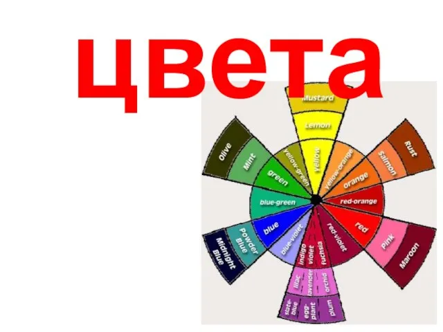 цвета