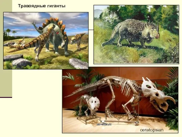 ceratopsian Травоядные гиганты