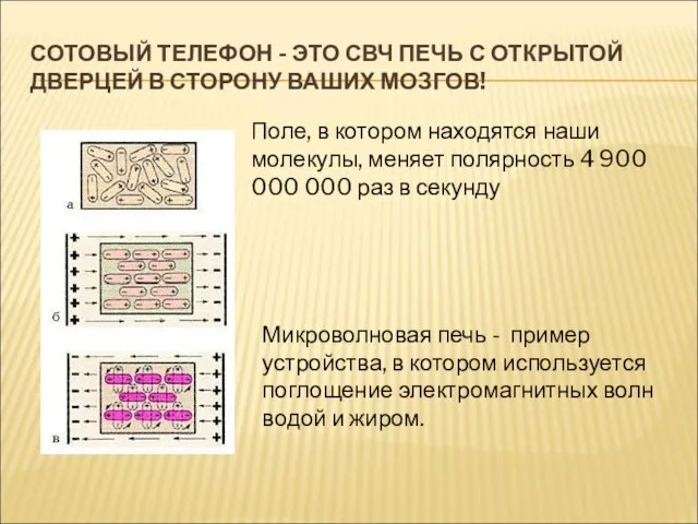 СОТОВЫЙ ТЕЛЕФОН - ЭТО СВЧ ПЕЧЬ С ОТКРЫТОЙ ДВЕРЦЕЙ В СТОРОНУ ВАШИХ