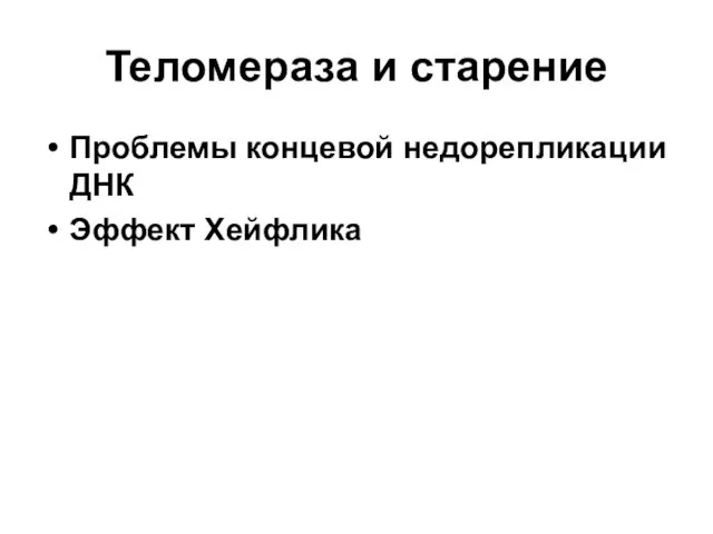 Теломераза и старение Проблемы концевой недорепликации ДНК Эффект Хейфлика