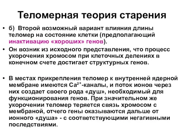 Теломерная теория старения б) Второй возможный вариант влияния длины теломер на состояние