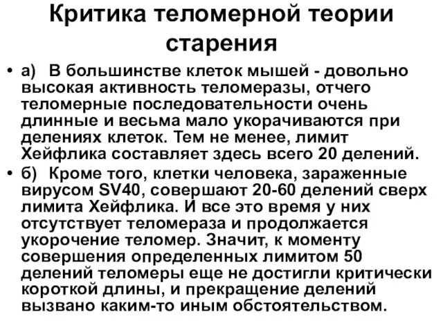 Критика теломерной теории старения а) В большинстве клеток мышей - довольно высокая