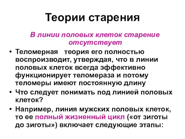 Теории старения В линии половых клеток старение отсутствует Теломерная теория его полностью