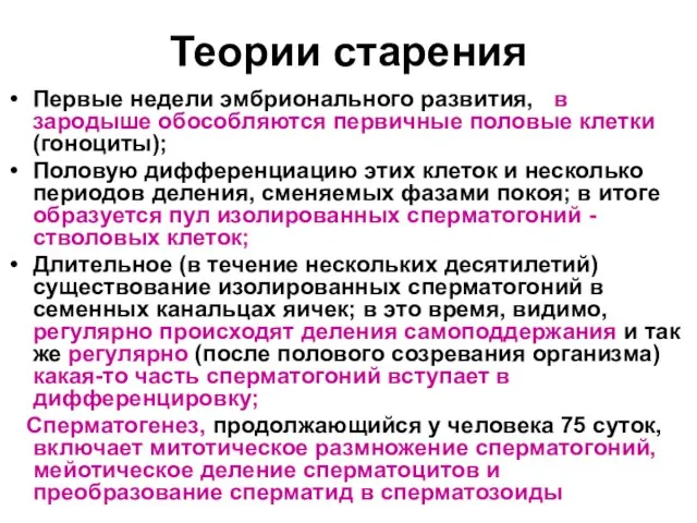 Теории старения Первые недели эмбрионального развития, в зародыше обособляются первичные половые клетки