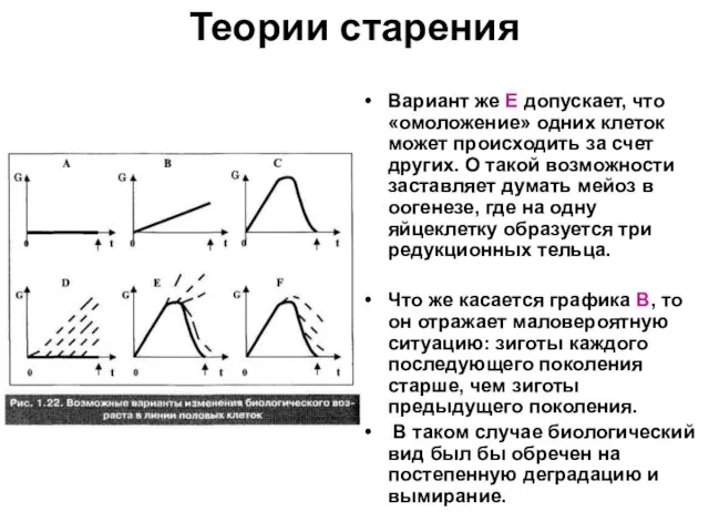 Теории старения Вариант же Е допускает, что «омоложение» одних клеток может происходить