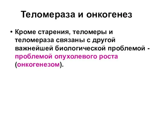 Теломераза и онкогенез Кроме старения, теломеры и теломераза связаны с другой важнейшей