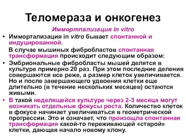 Теломераза и онкогенез Иммортпализация in vitro Иммортализация in vitro бывает спонтанной и