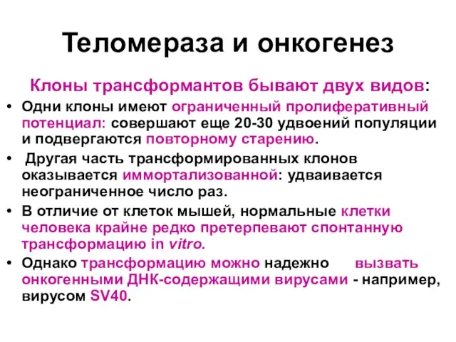 Теломераза и онкогенез Клоны трансформантов бывают двух видов: Одни клоны имеют ограниченный