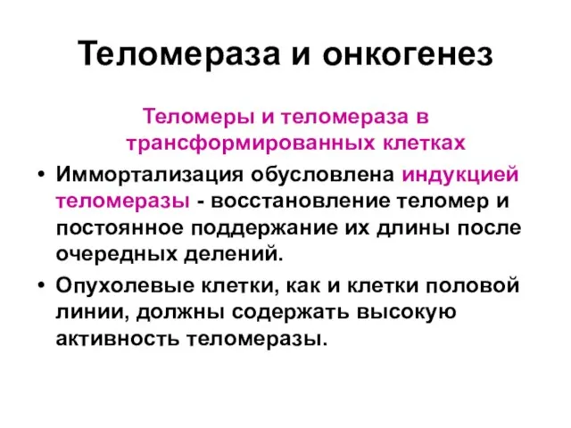 Теломераза и онкогенез Теломеры и теломераза в трансформированных клетках Иммортализация обусловлена индукцией