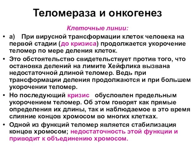 Теломераза и онкогенез Клеточные линии: а) При вирусной трансформации клеток человека на