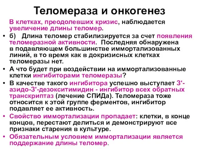 Теломераза и онкогенез В клетках, преодолевших кризис, наблюдается увеличение длины теломер. б)