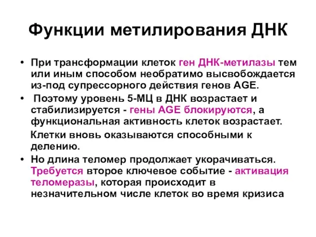 Функции метилирования ДНК При трансформации клеток ген ДНК-метилазы тем или иным способом