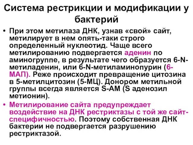 Система рестрикции и модификации у бактерий При этом метилаза ДНК, узнав «свой»