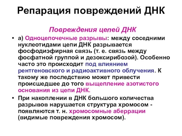 Репарация повреждений ДНК Повреждения цепей ДНК а) Одноцепочечные разрывы: между соседними нуклеотидами