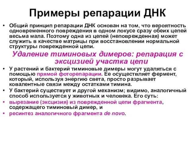 Примеры репарации ДНК Общий принцип репарации ДНК основан на том, что вероятность