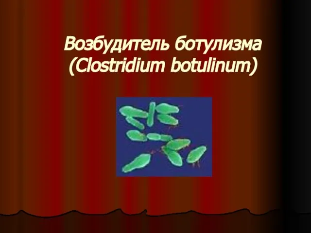 Возбудитель ботулизма (Clostridium botulinum)