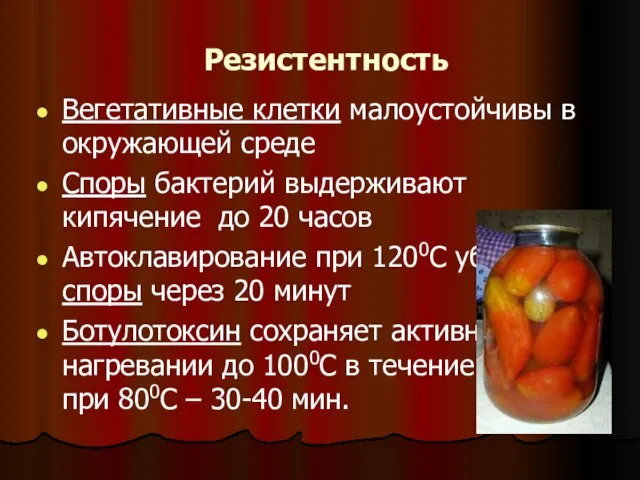 Резистентность Вегетативные клетки малоустойчивы в окружающей среде Споры бактерий выдерживают кипячение до