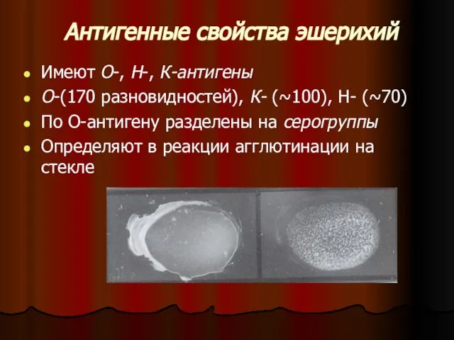 Антигенные свойства эшерихий Имеют О-, Н-, К-антигены О-(170 разновидностей), К- (~100), Н-