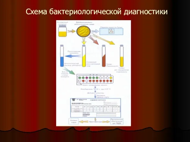 Схема бактериологической диагностики