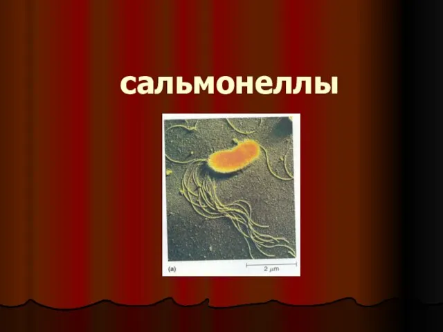 сальмонеллы