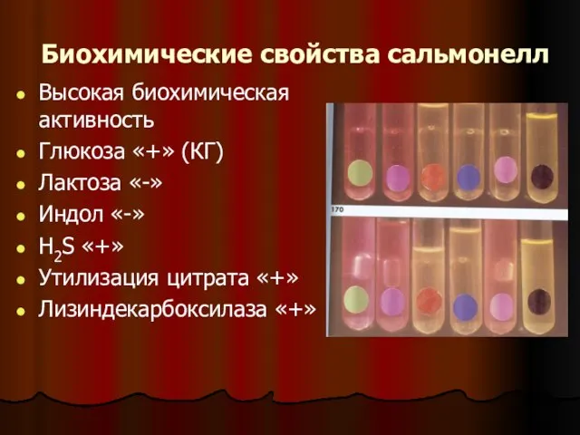 Биохимические свойства сальмонелл Высокая биохимическая активность Глюкоза «+» (КГ) Лактоза «-» Индол