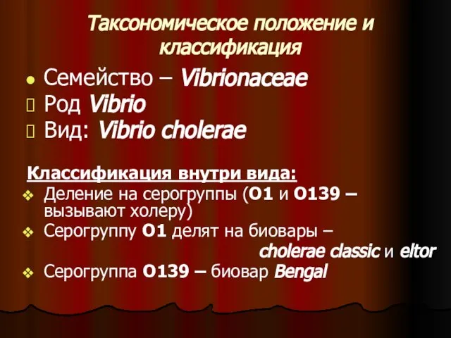 Таксономическое положение и классификация Семейство – Vibrionaceae Род Vibrio Вид: Vibrio cholerae