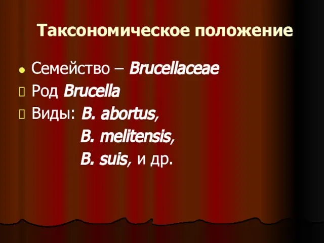 Таксономическое положение Семейство – Brucellaceae Род Brucella Виды: B. abortus, B. melitensis, B. suis, и др.