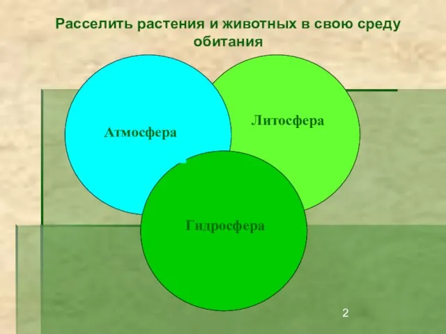 Расселить растения и животных в свою среду обитания