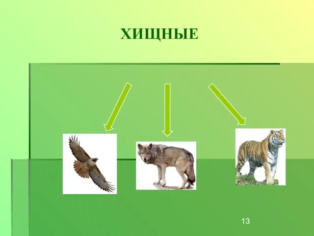 ХИЩНЫЕ