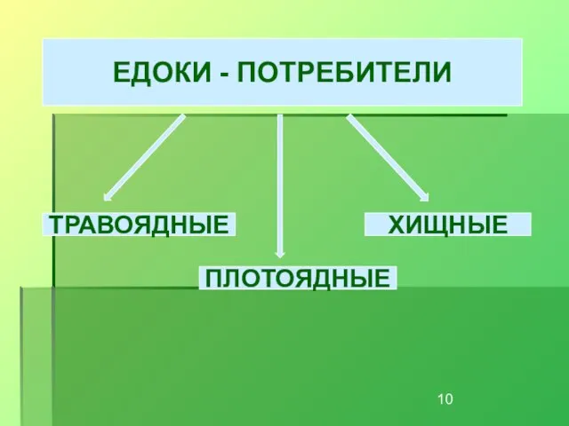 ЕДОКИ - ПОТРЕБИТЕЛИ ТРАВОЯДНЫЕ ПЛОТОЯДНЫЕ ХИЩНЫЕ