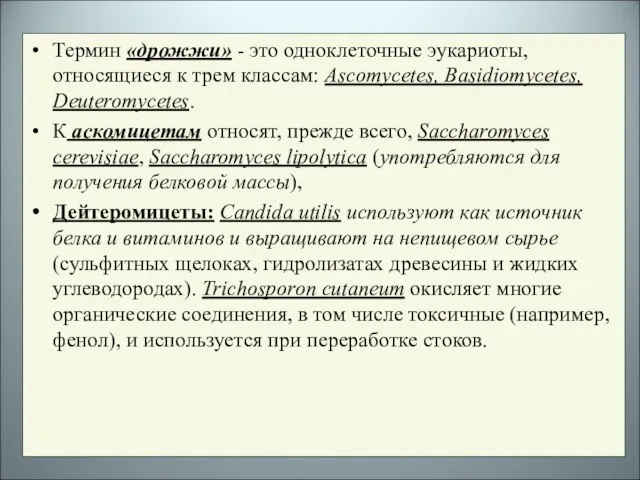 Термин «дрожжи» - это одноклеточные эукариоты, относящиеся к трем классам: Ascomycetes, Basidiomycetes,