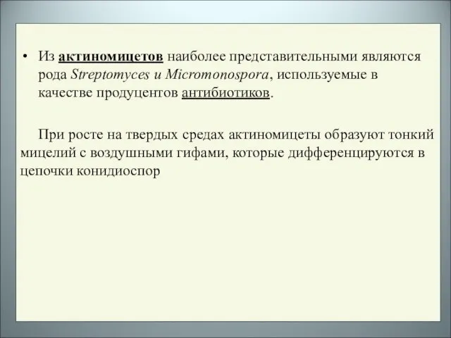 Из актиномицетов наиболее представительными являются рода Streptomyces и Micromonospora, используемые в качестве