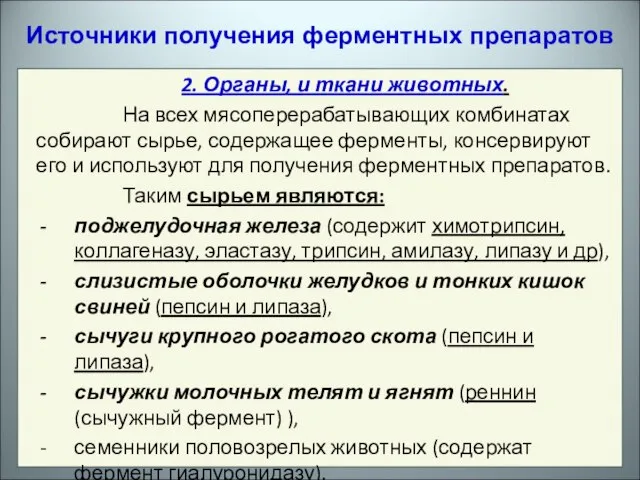 Источники получения ферментных препаратов 2. Органы, и ткани животных. На всех мясоперерабатывающих