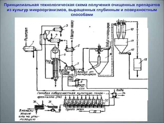 Принципиальная технологическая схема получения очищенных препаратов из культур микроорганизмов, выращенных глубинным и поверхностным способами