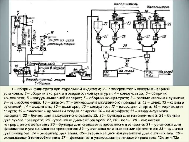 1 – сборник фильтрата культуральной жидкости; 2 – подогреватель вакуум-выпарной установки; 3