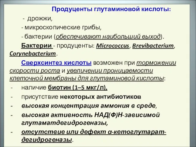 Продуценты глутаминовой кислоты: - дрожжи, - микроскопические грибы, - бактерии (обеспечивают наибольший