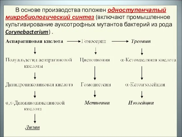 В основе производства положен одноступенчатый микробиологический синтез (включают промышленное культивирование ауксотрофных мутантов